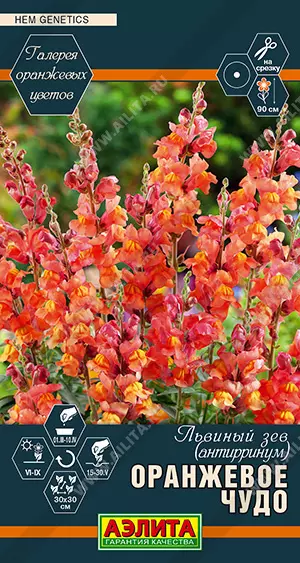 Семена цветов Львиный зев (антирринум) Оранжевое чудо. АЭЛИТА Ц/П 0,1 г