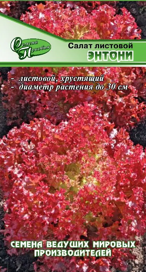 Семена Салат Энтони (лист. красный). Семена Приобья ф.п.10 драже