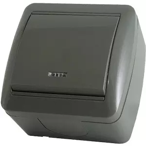 Выключатель с индикатором TDM Селигер IP44 цвет серый SQ1818-0103