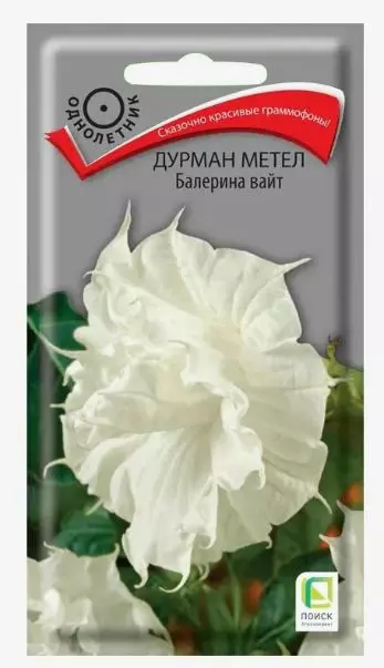 Семена цветов Дурман метел Балерина Вайт, ПОИСК 3 шт ц/п