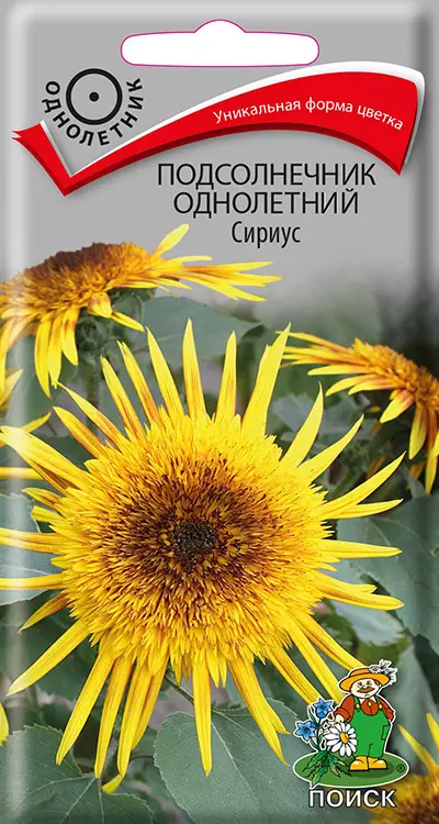 Семена цветов Подсолнечник однолетний Сириус. ПОИСК Ц/П 0.3 г