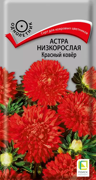Семена цветов Астра Ковер красный 0.2г, низкорослая (Поиск)