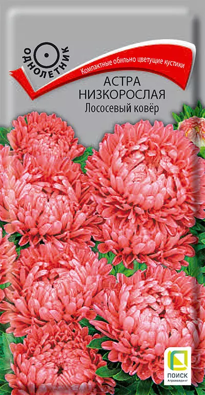 Семена цветов Астра Ковер Лососевый 0.2гр(Поиск)