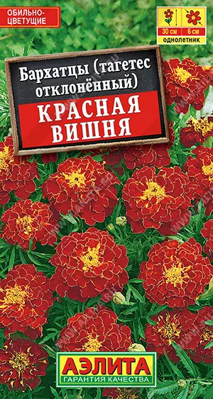 Семена цветов Бархатцы (тагетес отклоненный) Красная вишня. АЭЛИТА Ц/П 0,3 г