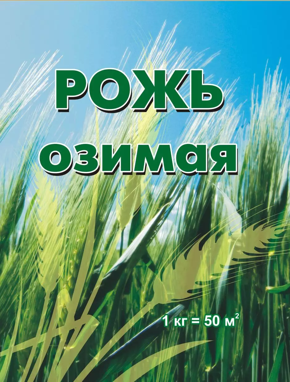 Сидерат Рожь озимая 1кг Семена Приобья — купить по выгодной цене в  интернет-магазине Колорлон