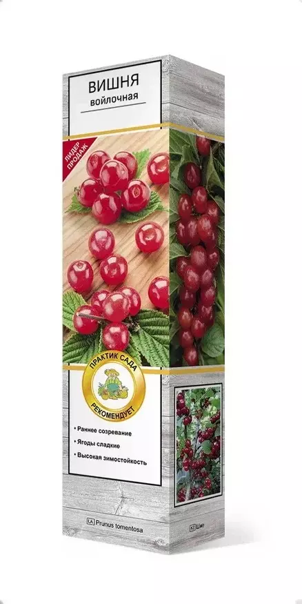 Саженец Вишня войлочная Лето, поздний, (в тубе), Поиск