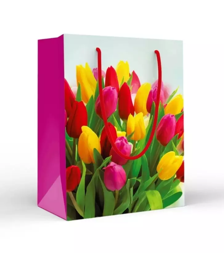 Пакет подарочный (M) Цветные тюльпаны 15.20.02283
