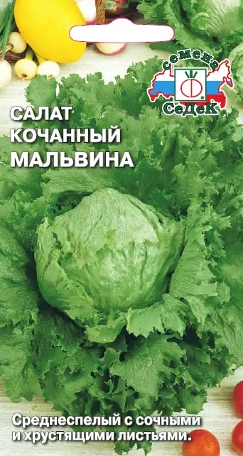 Семена салат Мальвина (айсберг)(ср.спел.) Евро, 0,5г Ц/П СеДеК