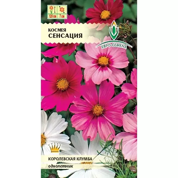 Семена цветов Космея Сенсация 0.5гр ЕВРО-СЕМЕНА