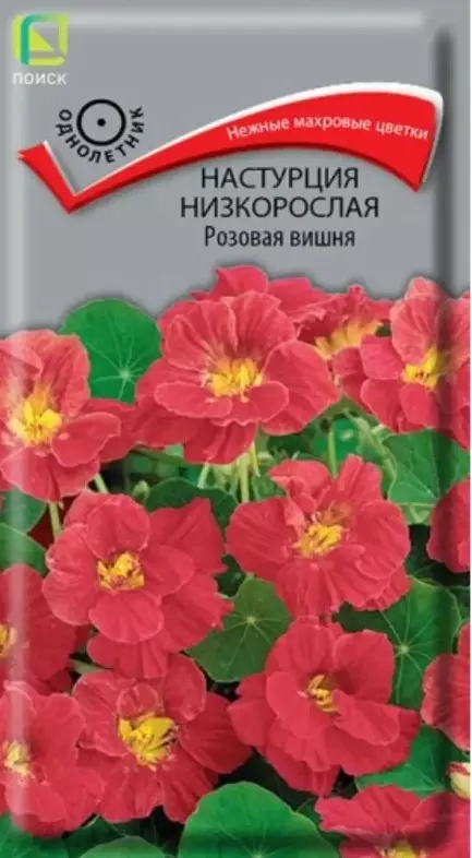 Семена цветов Настурция низкорослая розовая вишня, ПОИСК 1 г ц/п