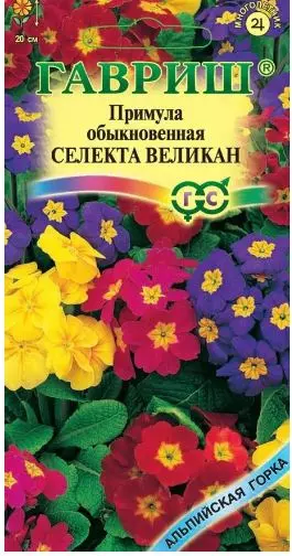 Семена цветов Примула селекта Великан Смесь 10шт Гавриш Ц/П