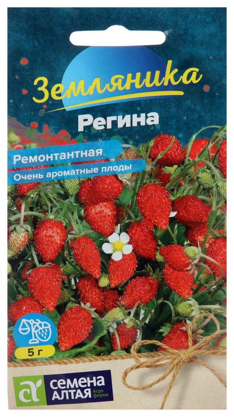 Семена Земляника Регина ремонтантная/Сем Алт/цп 0,04 гр. — купить по  выгодной цене в интернет-магазине Колорлон