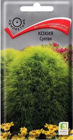 Семена цветов Кохия Султан ПОИСК 0,1 г ц/п