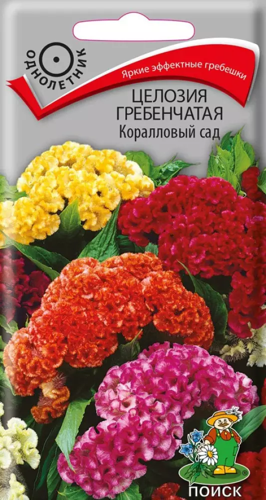 Семена цветов Целозия гребенчатая Коралловый сад, ПОИСК 0,1 г ц/п