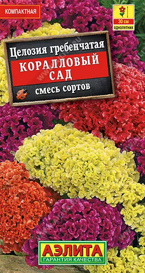 Семена цветов Целозия гребенчатая Коралловый сад, смесь сортов. АЭЛИТА Ц/П 0,2 г