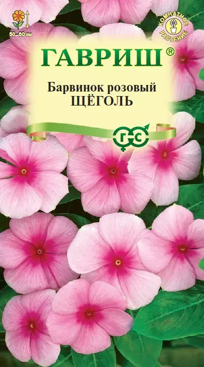 Семена цветов (комнатные) Барвинок Щеголь ГАВРИШ 0,05 г ц/п