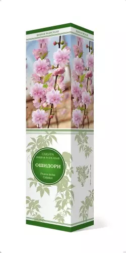 Саженец Сакура (Вишня декоративная)