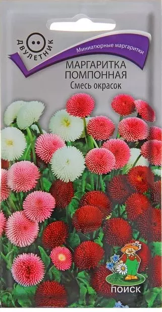 Семена цветов Маргаритка помпонная, смесь окрасок 0.05гр(Поиск)