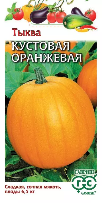 Семена Тыква Кустовая оранжевая 1г (Гавриш) Ц/П