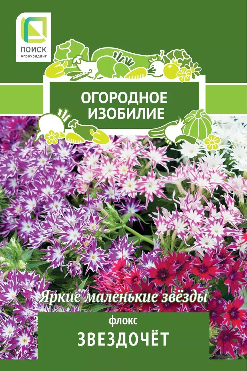 Семена цветов Флокс Звездочет (Огородное изобилие) (1) 0,2 гр ПОИСК
