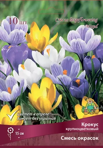 Луковицы цветов Крокус крупноцветковый смесь окрасок 7/8, 10 шт