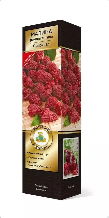 Саженец Малина ремонтантная Самохвал (в тубе), Поиск
