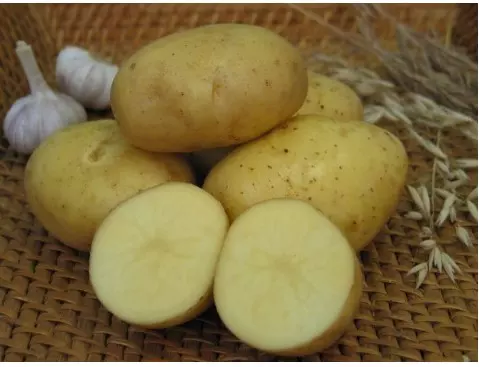 Картофель семенной 2 кг, сорт Триумф элита, сетка