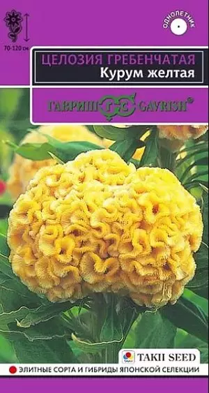 Семена цветов Целозия Курум желтая 8шт, гребенчатая (Гавриш)