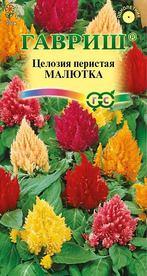 Семена цветов Целозия перистая Малютка Смесь 0.01 гр (Гавриш) цв