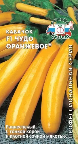 Семена Кабачок Чудо оранжевое ® F1 Евро, 1г Ц/П СеДеК