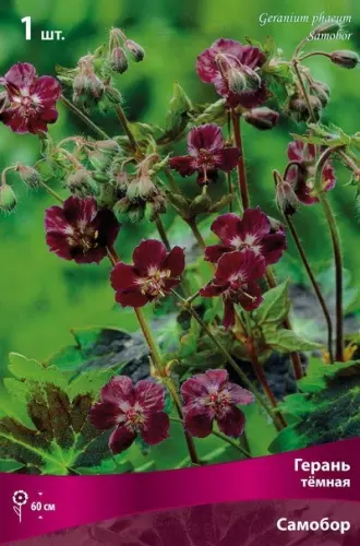 Корневище цветов Герань темная Самобор (I; 1 шт)