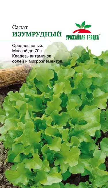 Семена салат Изумрудный (листовой)(ср.спел.)Евро, 0,5г Ц/П СеДеК