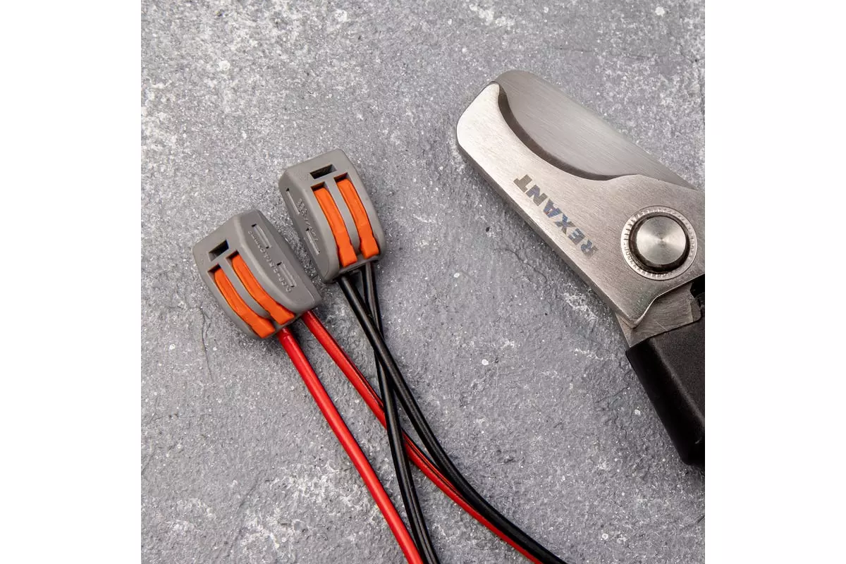 Клеммы соединительные с рычажком на 2 провода 4мм2 10шт REXANT 06-0200-B10