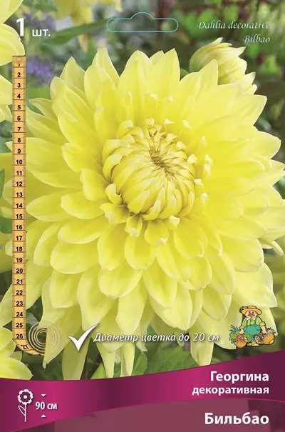 Клубни цветов Георгина декоративная Бильбао (I; 1 шт)