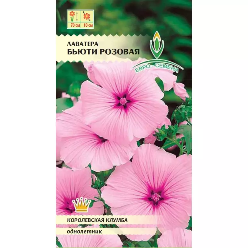 Семена цветов Лаватера Бьюти розовая. ЕВРО-СЕМЕНА Ц/П 0.15 г