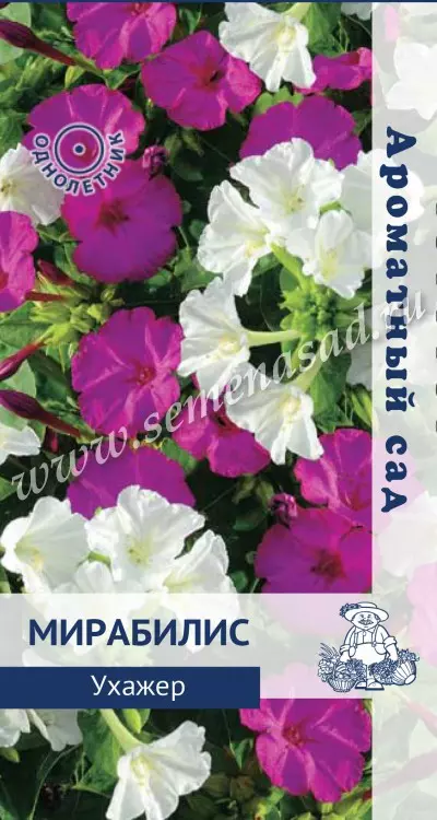 Семена цветов Мирабилис Ухажер, ПОИСК 1 г ц/п