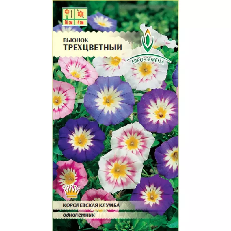 Семена цветов Вьюнок трехцветный. ЕВРО-СЕМЕНА Ц/П 0.5 г