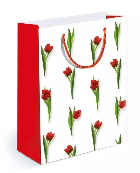 Пакет подарочный (M) Тюльпаны 15.11.01730
