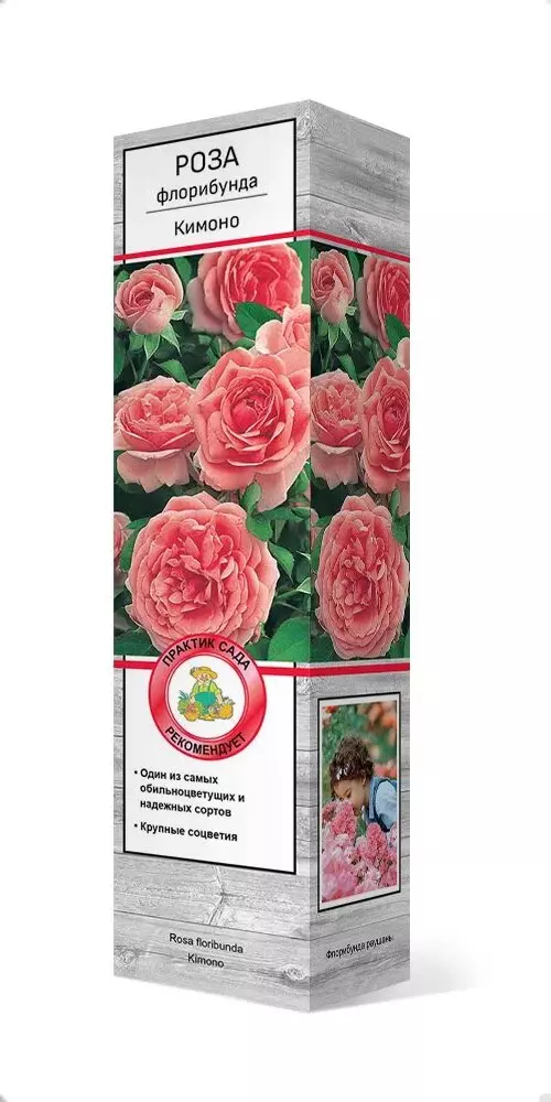 Саженец Роза флорибунда Кимоно лососево-розовый (в тубе), Поиск