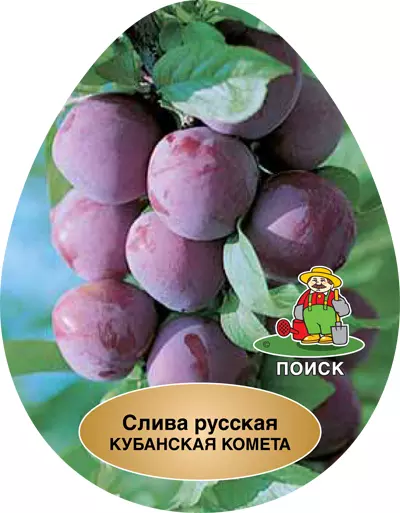 Саженец Алыча Кубанская комета ранний, в тубе, Поиск