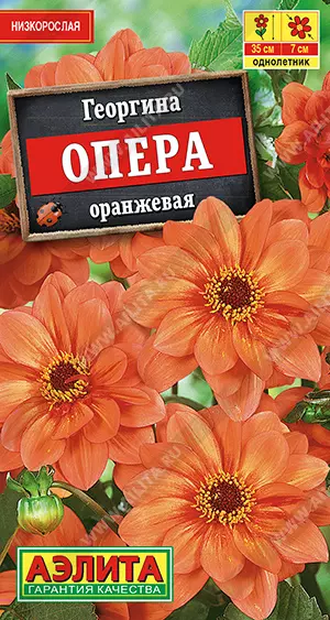 Семена цветов Георгина Опера оранжевая, АЭЛИТА Ц/П 7 шт