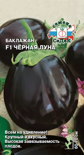 Семена Баклажан Черная Луна F1. СеДеК Ц/П