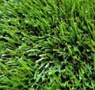 Трава искусственная Topi Grass 40 мм (2м) (40м2)