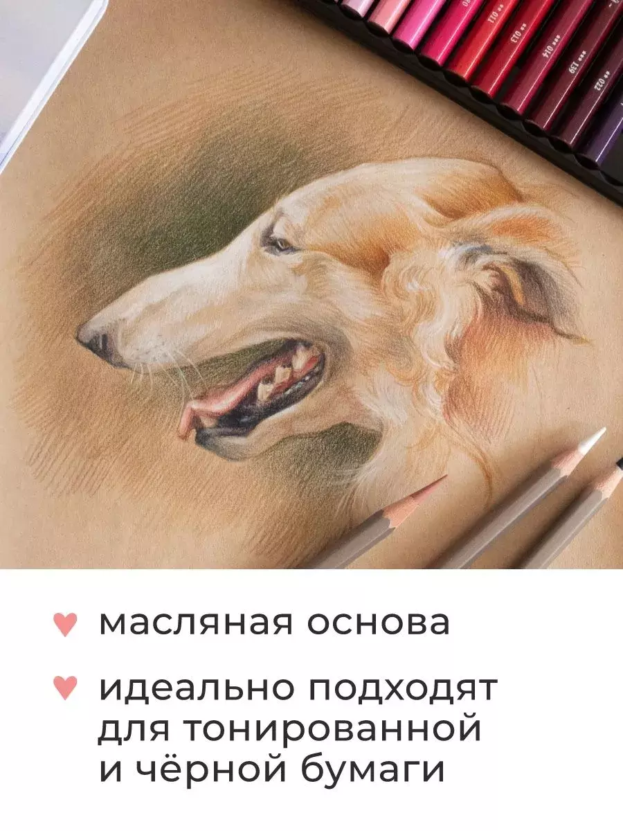 Набор профессиональных цветных карандашей 30 цв., мягкий грифель 4 мм, Малевичъ GrafArt PRO "Портрет"