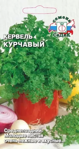 Семена пряность Кервель Курчавый . Евро, 0,5г Ц/П СеДеК