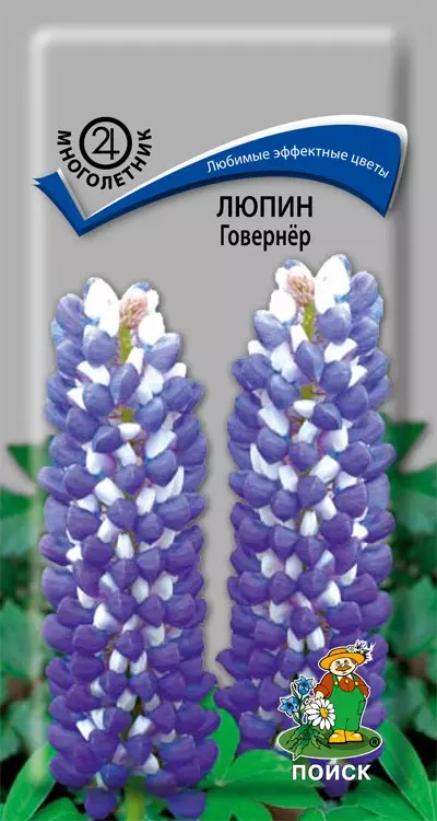 Семена цветов Люпин Говернер 1 гр (Поиск)