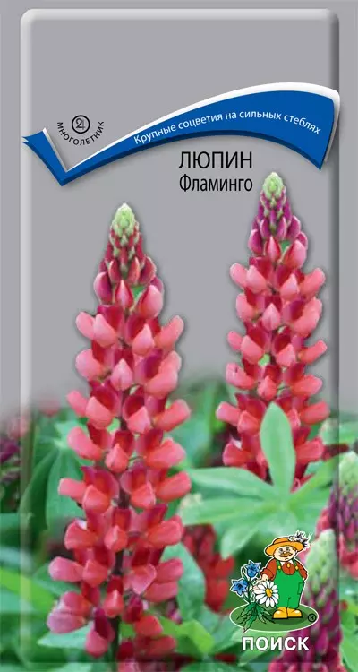Семена цветов Люпин Фламинго 1 гр (Поиск)