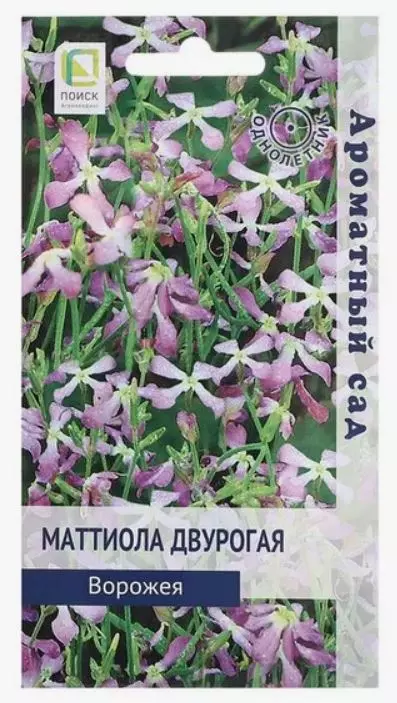 Семена цветов Маттиола Ворожея 0.3гр (Поиск)