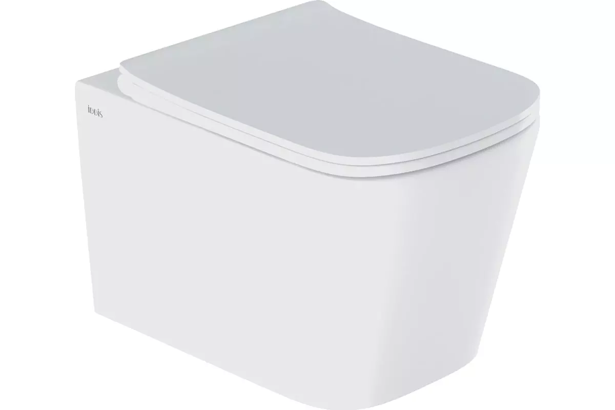 Подвесной унитаз IDDIS Bild BILRDSEi25 безободковый, микролифт