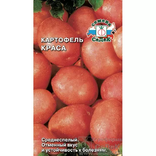 Семена Картофель Краса 30шт (СеДеК) цв